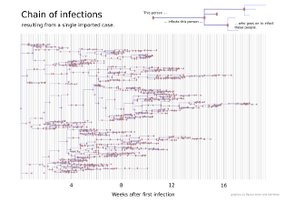 Infection Tree